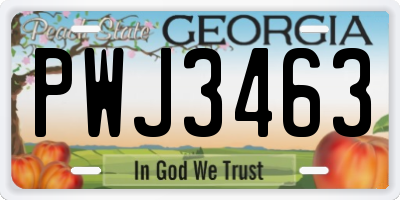 GA license plate PWJ3463