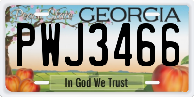 GA license plate PWJ3466
