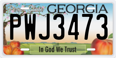 GA license plate PWJ3473