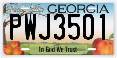 GA license plate PWJ3501