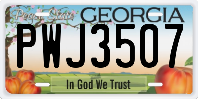 GA license plate PWJ3507