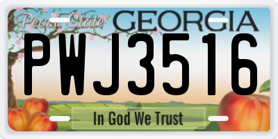 GA license plate PWJ3516