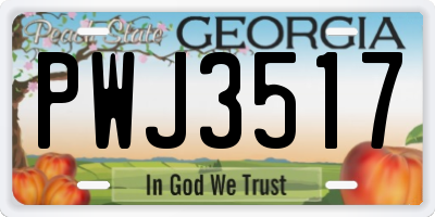 GA license plate PWJ3517