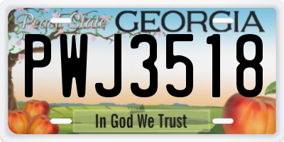 GA license plate PWJ3518