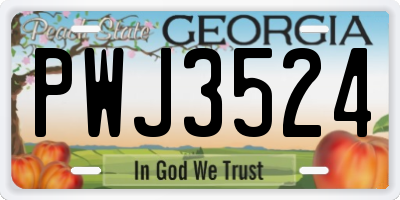GA license plate PWJ3524