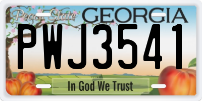 GA license plate PWJ3541