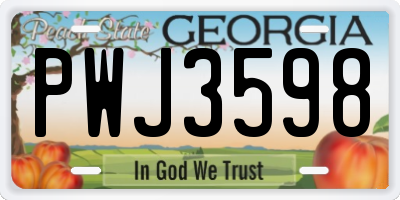 GA license plate PWJ3598