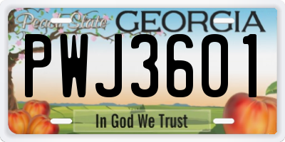 GA license plate PWJ3601