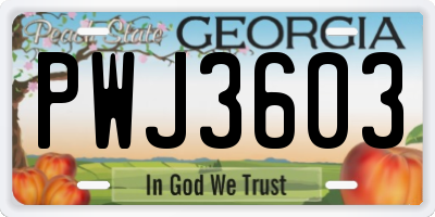 GA license plate PWJ3603