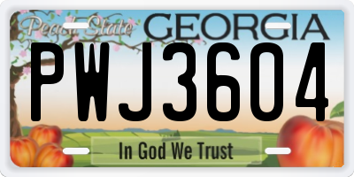 GA license plate PWJ3604
