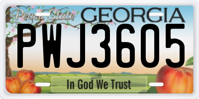 GA license plate PWJ3605