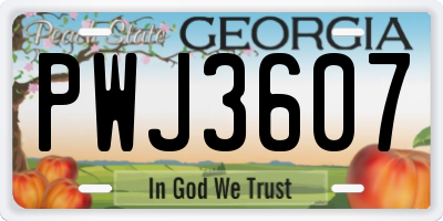 GA license plate PWJ3607
