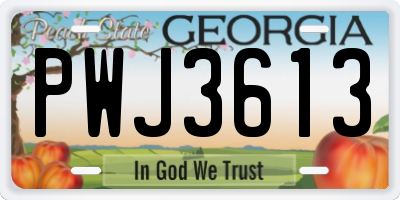 GA license plate PWJ3613