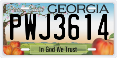 GA license plate PWJ3614