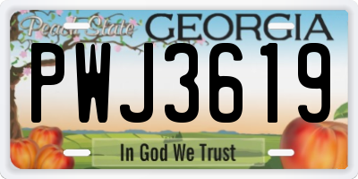 GA license plate PWJ3619