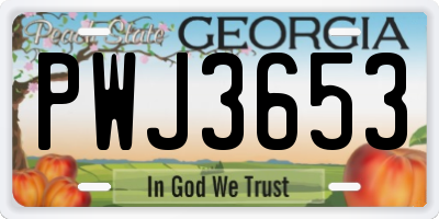 GA license plate PWJ3653
