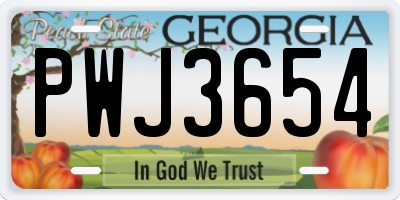 GA license plate PWJ3654