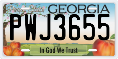 GA license plate PWJ3655