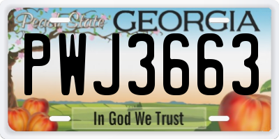 GA license plate PWJ3663