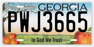 GA license plate PWJ3665