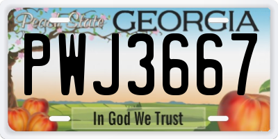 GA license plate PWJ3667