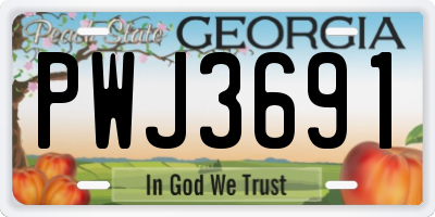 GA license plate PWJ3691