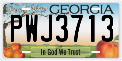 GA license plate PWJ3713