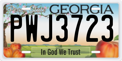 GA license plate PWJ3723