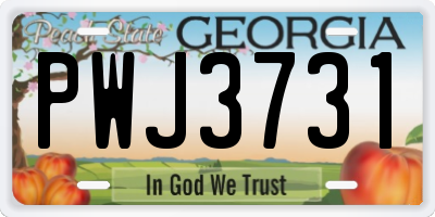 GA license plate PWJ3731