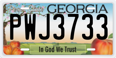 GA license plate PWJ3733