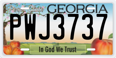 GA license plate PWJ3737
