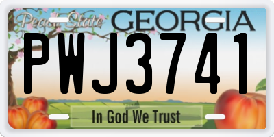 GA license plate PWJ3741