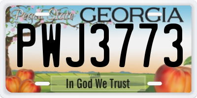 GA license plate PWJ3773