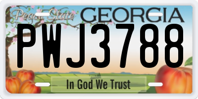 GA license plate PWJ3788