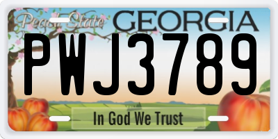 GA license plate PWJ3789