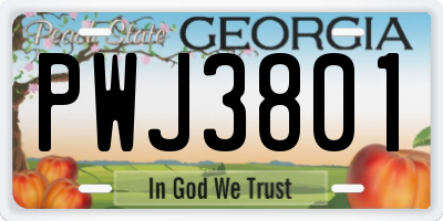 GA license plate PWJ3801