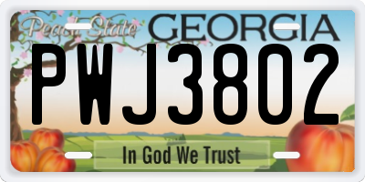 GA license plate PWJ3802