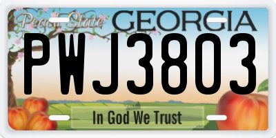 GA license plate PWJ3803