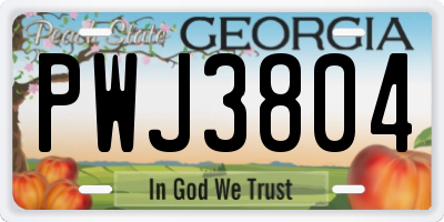 GA license plate PWJ3804