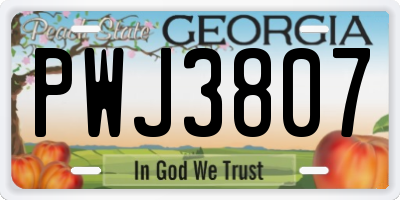 GA license plate PWJ3807