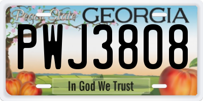 GA license plate PWJ3808