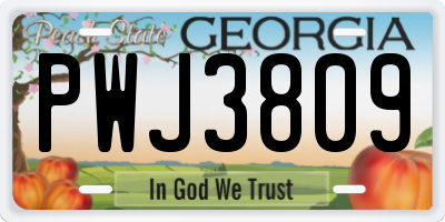 GA license plate PWJ3809