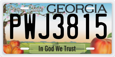 GA license plate PWJ3815