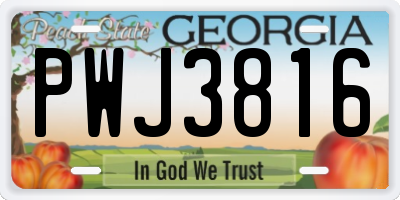 GA license plate PWJ3816