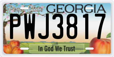 GA license plate PWJ3817