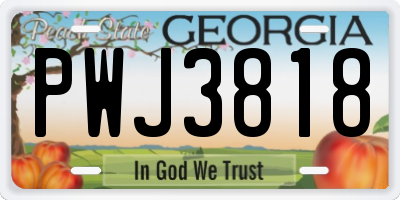 GA license plate PWJ3818