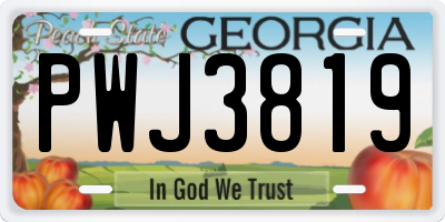 GA license plate PWJ3819