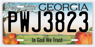 GA license plate PWJ3823