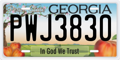 GA license plate PWJ3830