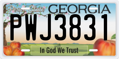 GA license plate PWJ3831